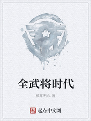 全武将时代