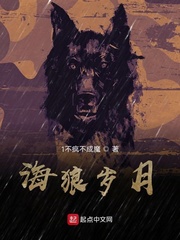 海狼岁月