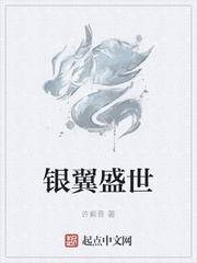 银翼盛世