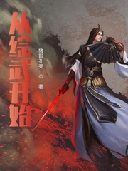 从综武开始小说封面