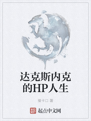 达克斯内克的HP人生小说封面