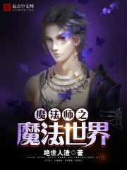 魔法师之魔法世界小说封面