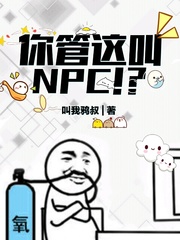 你管这叫NPC！？