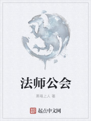 法师公会小说封面