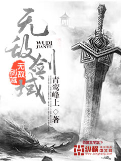 无敌剑域道袍老者身份